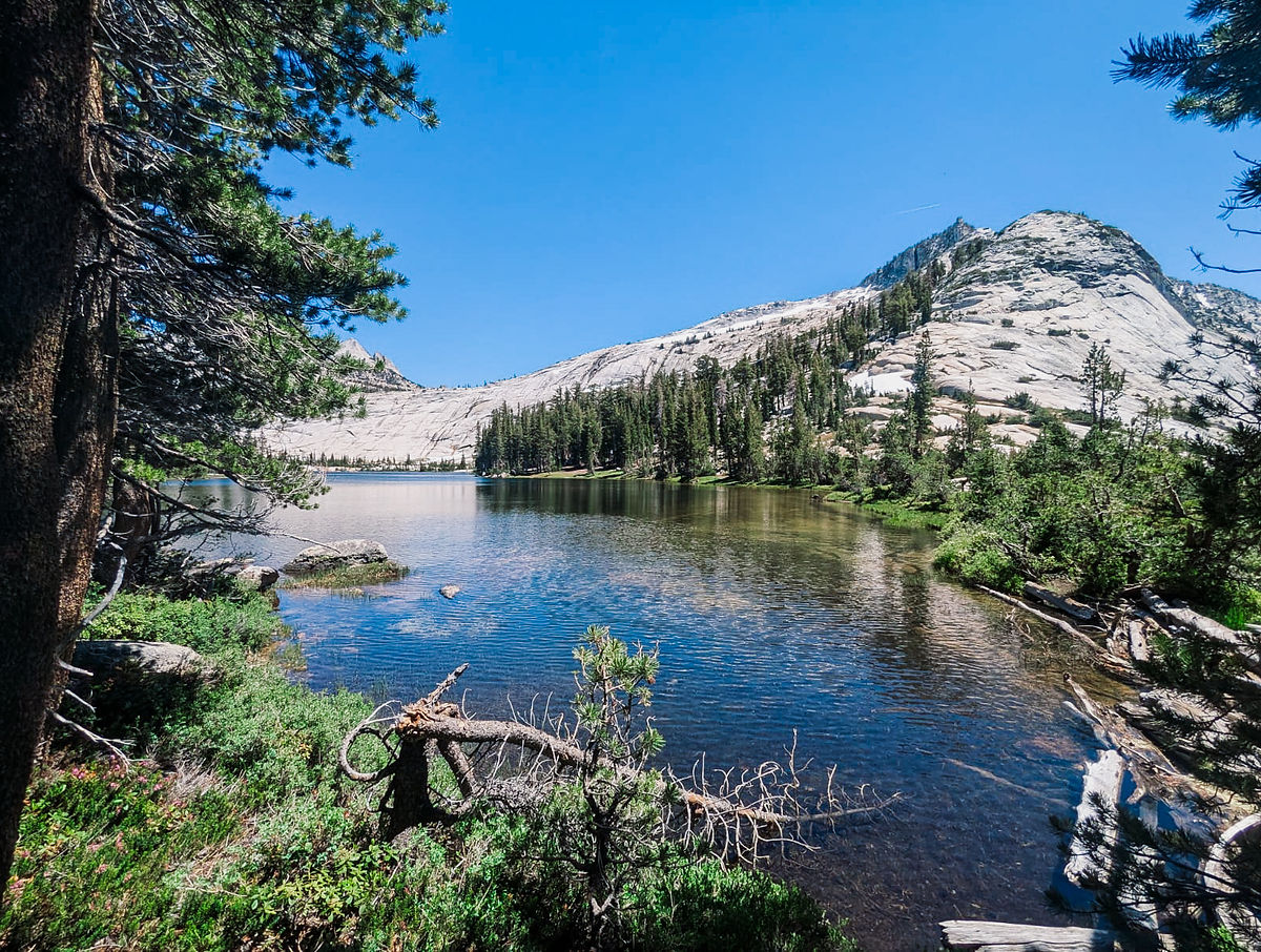 An image of Yosemite with view over a lake to the mountains and pine woods