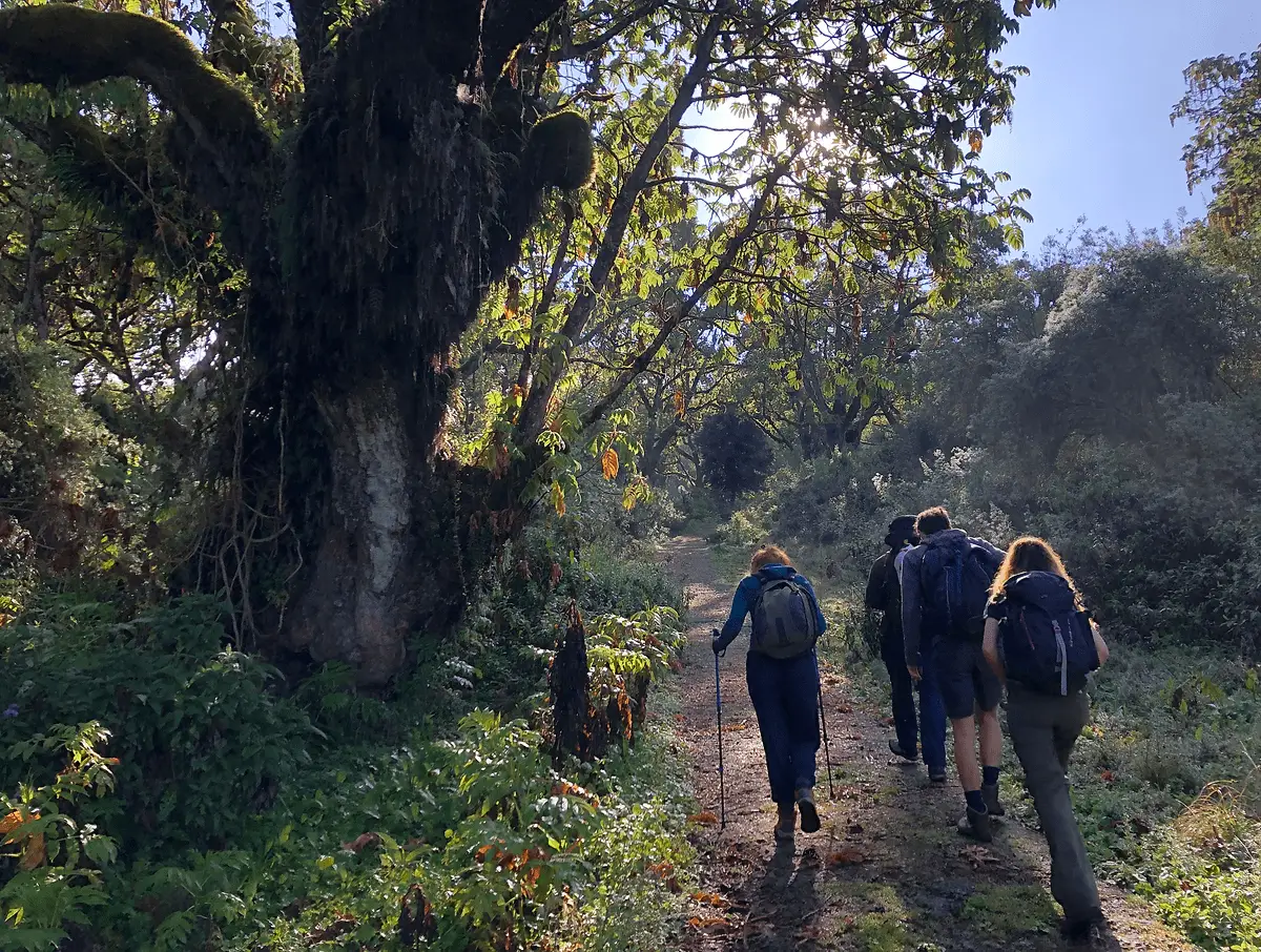 trekking in Kenya